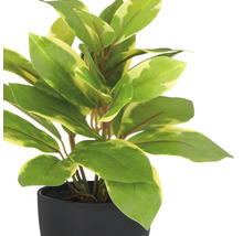 Konstgjord växt i svart kruka med gröna blad