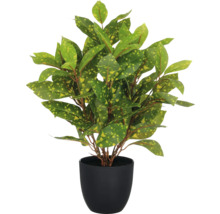 Konstgjord Krotonplanta i kruka