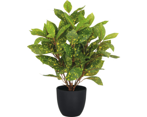 Konstväxt acuba i kruka 40cm Konstgjord Krotonplanta i kruka