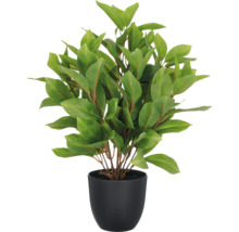 Konstgjord växt med gröna blad i svart kruka