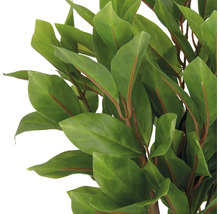 Närbild av konstgjorda lagerblad.