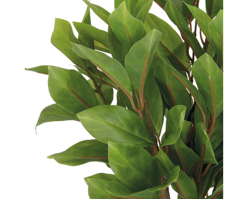 Närbild av konstgjorda lagerblad.