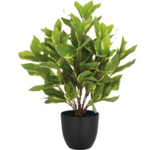 Konstgjord växt med gröna blad i en svart kruka