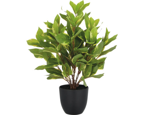 Konstväxt epipremnum aureum i kruka 40 cm Konstgjord växt med gröna blad i en svart kruka