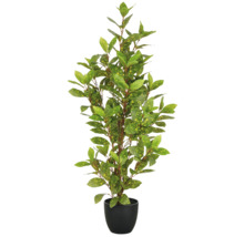 Dekorativ konstväxt i kruka