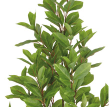 Konstgjord lagerbladsväxt med gröna blad