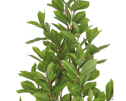 Konstgjord lagerbladsväxt med gröna blad