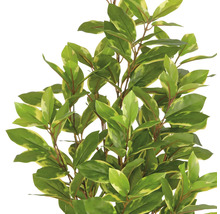 Bilden visar en konstgjord lagerhägg med gröngula blad.