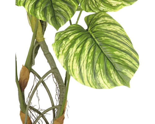 Konstgjord växt med stora, mönstrade blad och stjälkar