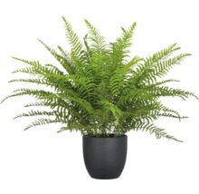 Konstgjord ormbunke i kruka