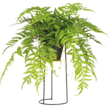 Konstgjord ormbunke i kruka på ett metallstativ