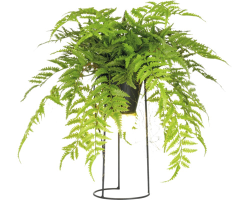 Konstgjord ormbunke i kruka på ett metallstativ