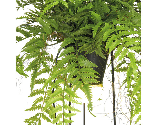 Konstgjord ormbunke i en hängande kruka.