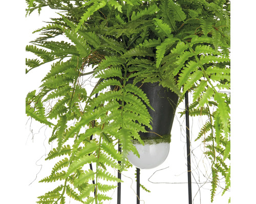 Konstgjord ormbunke i kruka på ett metallstativ