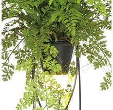 Konstgjord ormbunke i kruka med växtställning