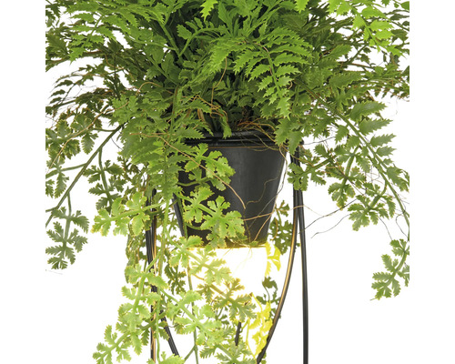 Konstgjord ormbunke i kruka med växtställning