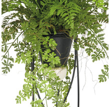 Konstgjord växt med ormbunke i hängande anordning