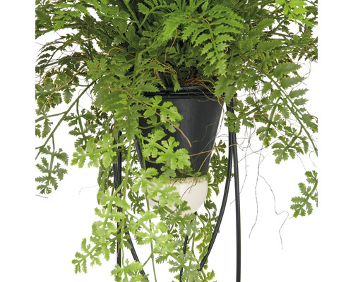 Konstgjord växt med ormbunke i hängande anordning