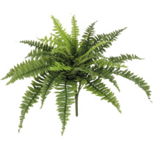 Konstgjord ormbunke för dekoration