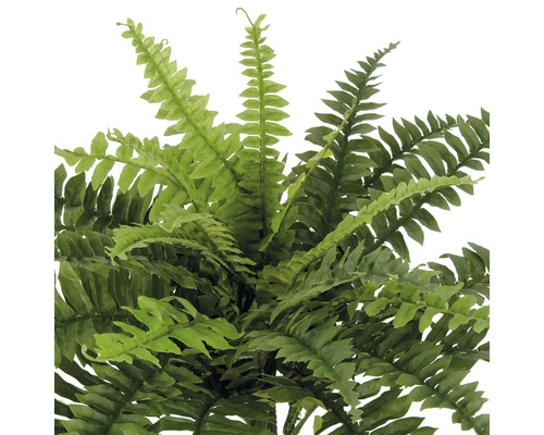 Konstgjord ormbunke för inredning