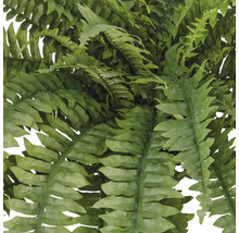 Närbild av en konstgjord ormbunke