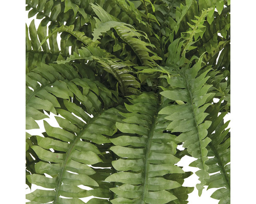 Närbild av en konstgjord ormbunke