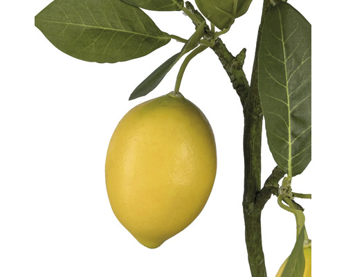 Närbild av en konstgjord citron på en gren med blad