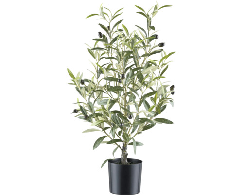 Konstväxt olivbuske i kruka 70 cm Olivträd i kruka som dekoration