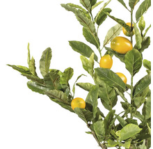 Konstgjord citrongren med blad