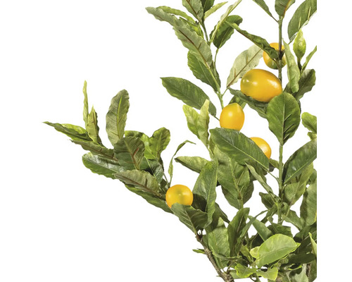 Konstgjord citrongren med blad