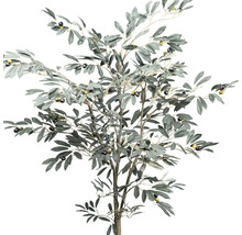 Dekorativt olivträd med blad och oliver