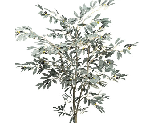 Dekorativt olivträd med blad och oliver