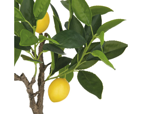 Citron träd med blad och frukter som dekoration