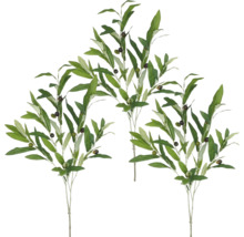 Tre grenar med oliver och gröna blad.