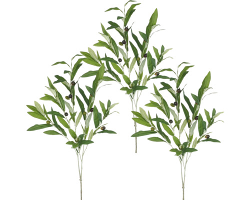 Tre grenar med oliver och gröna blad.