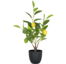 Konstgjord citron träd i kruka som dekoration