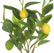 Konstgjord citronträd med blad och frukter som dekoration