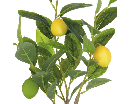 Konstgjord citronträd med blad och frukter som dekoration