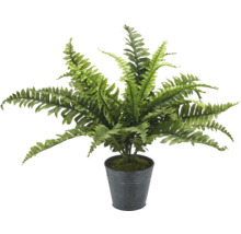 Konstgjord ormbunke i kruka