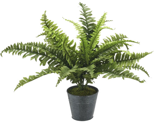 Konstgjord ormbunke i kruka