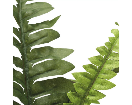 Närbild av konstgjorda ormbunksblad