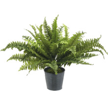 Konstgjord ormbunke i kruka