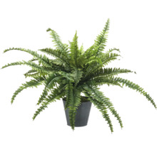 Konstgjord ormbunke i kruka som dekoration