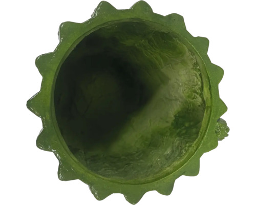 Vy från ovan av en grön blomkruka med tandad kant