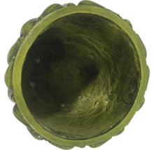 Insida av en blomkruka