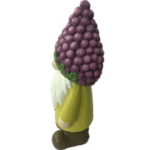 Trädgårdstomte med druvmössa