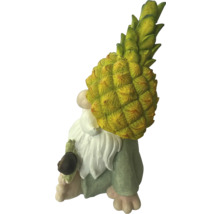 Trädgårdstomte med ananas hatt