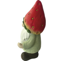 Trädgårdstomte med jordgubbsmössa