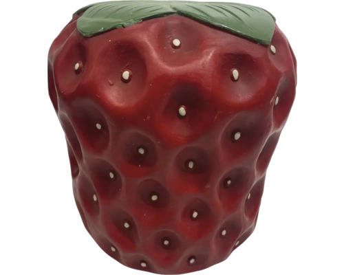 Jordgubbsformad blomkruka för trädgården
