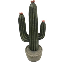 Dekorativ kaktus för inomhusbruk med blomkruka
